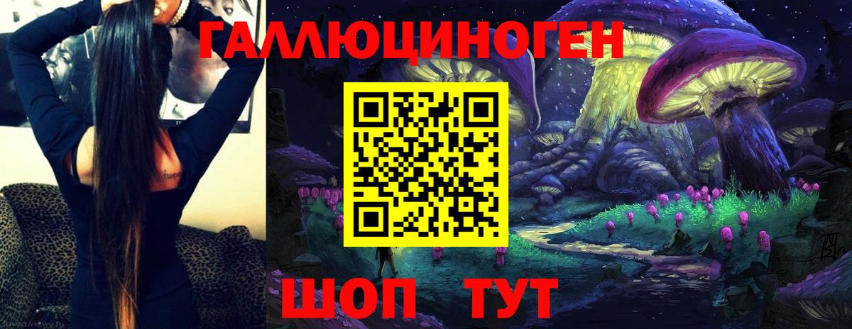 Нурлат  Псилоцибиновые грибы GOLDEN TEACHER  Псилоцибиновые грибы Psilocybine cubensis  Вход с VPN 
