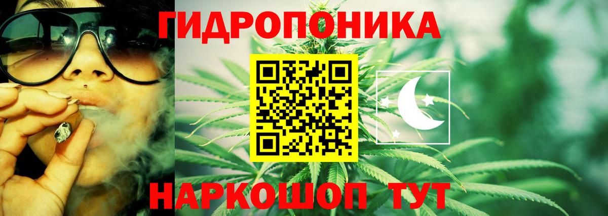 Канабис конопля Нурлат
